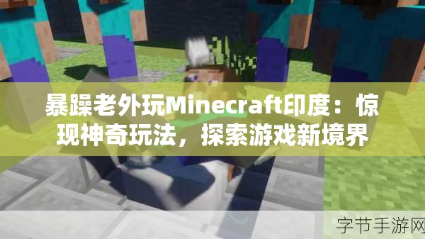 暴躁老外玩Minecraft印度：惊现神奇玩法，探索游戏新境界