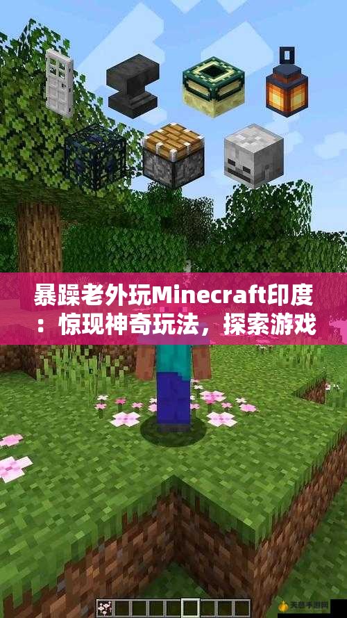 暴躁老外玩Minecraft印度：惊现神奇玩法，探索游戏新境界