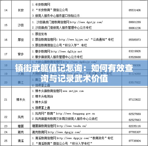 镇街武躯值记怎询：如何有效查询与记录武术价值