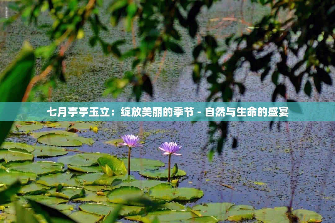 七月亭亭玉立：绽放美丽的季节 - 自然与生命的盛宴