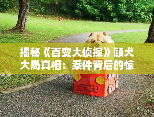 揭秘《百变大侦探》顾犬大局真相：案件背后的惊人秘密